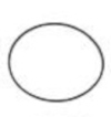INDICATOR LENS O RING